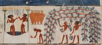 Les Anciens Égyptiens : De grands végétariens ? 6 - Le Progrès Egyptien Les Anciens Égyptiens : De grands végétariens ? 5 - Le Progrès Egyptien
