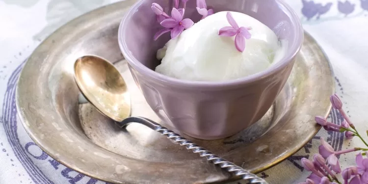 Voilà des crèmes glacées vraiment bizarres 1 - Le Progrès Egyptien