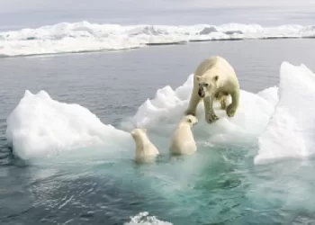 La calotte glaciaire arctique décline rapidement