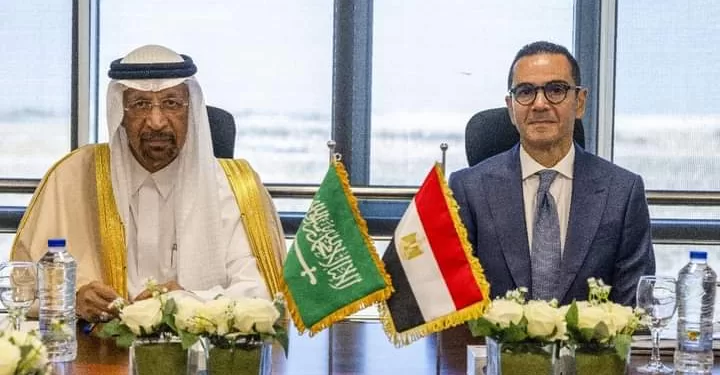 Booster les investissements égypto-saoudiens 1 - Le Progrès Egyptien