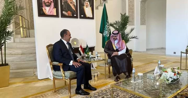 Abdel Aati tient une séance de discussion avec son homologue saoudien à Riyad 1 - Le Progrès Egyptien