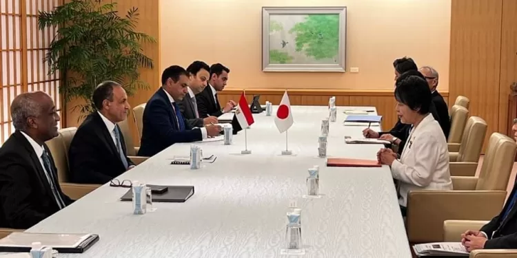 L'Egypte et le Japon examinent le cessez-le-feu à Gaza 1 - Le Progrès Egyptien