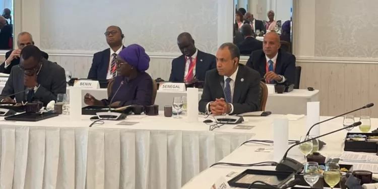 Abdel-Aati : La gouvernance mondiale exige des réformes concrètes au Conseil de sécurité 1 - Le Progrès Egyptien