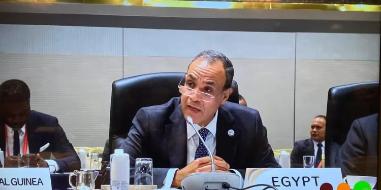 Abdel-Aati participe à l'ouverture de la conférence TICAD 1 - Le Progrès Egyptien