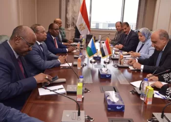 Electricité : Egypte-Djibouti, renforcement de la coopération