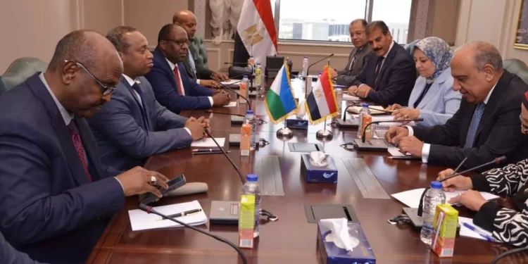 Electricité : Egypte-Djibouti, renforcement de la coopération 1 - Le Progrès Egyptien