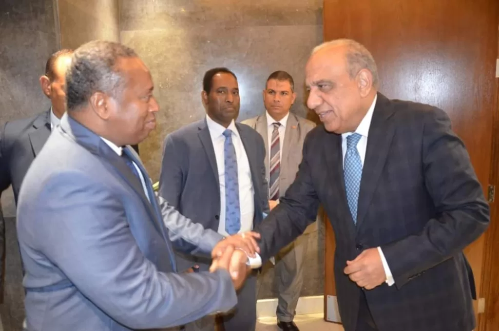 Electricité : Egypte-Djibouti, renforcement de la coopération 3 - Le Progrès Egyptien