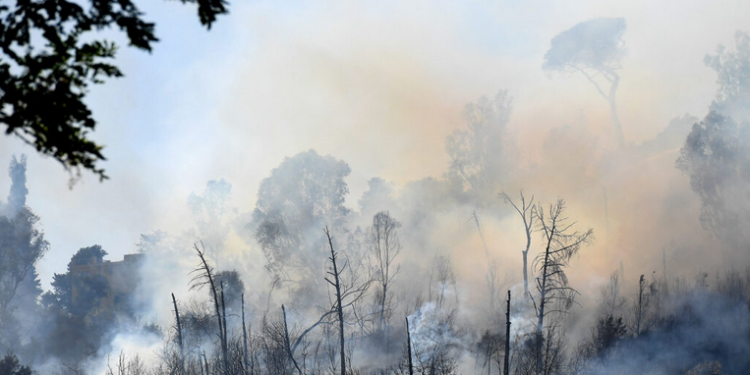 Feu de forêt à Rome : Le siège de la Rai évacué 1 - Le Progrès Egyptien