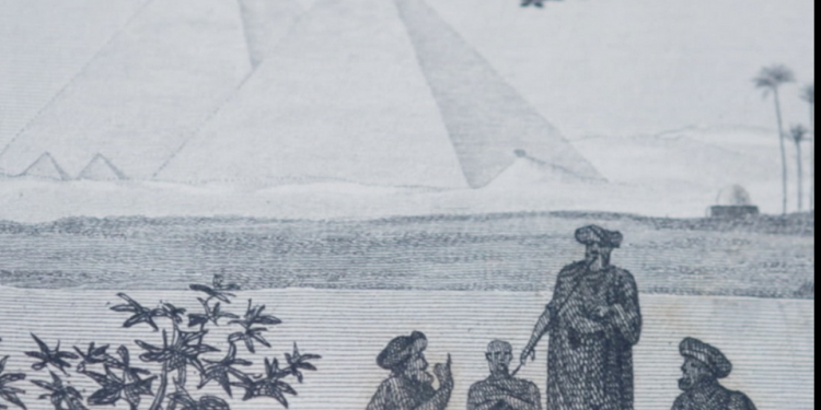 Expédition française : La vie des Egyptiens en un livre 1 - Le Progrès Egyptien