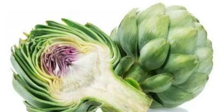 Des plantes et aliments pour une détox du foie 2 - Le Progrès Egyptien Des plantes et aliments pour une détox du foie 1 - Le Progrès Egyptien