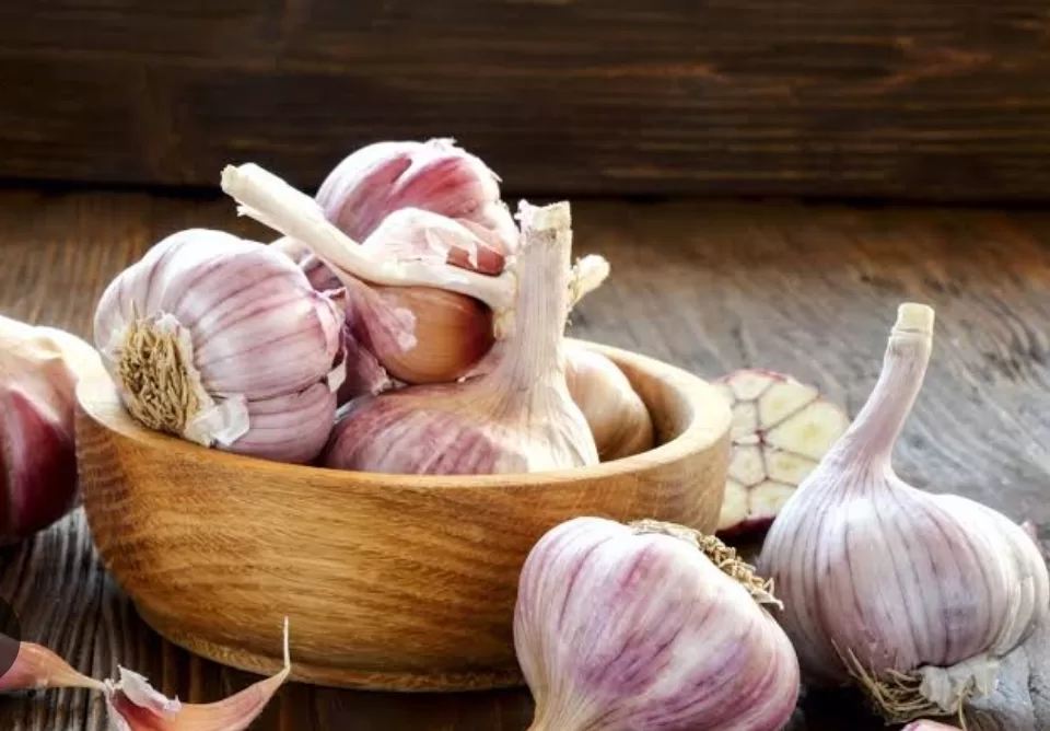 Des plantes et aliments pour une détox du foie 12 - Le Progrès Egyptien Des plantes et aliments pour une détox du foie 11 - Le Progrès Egyptien