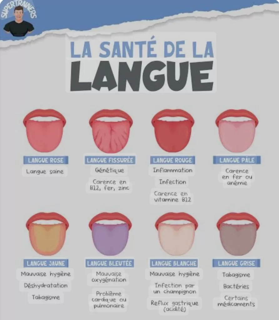 Blanche, rouge, jaune… Ce que la couleur de la langue dit de notre santé 4 - Le Progrès Egyptien Blanche, rouge, jaune… Ce que la couleur de la langue dit de notre santé 3 - Le Progrès Egyptien