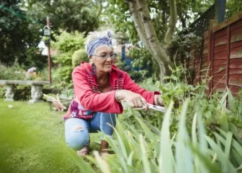 Avoir un hobby vous permettrait de vivre en bonne santé