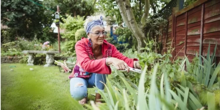 Avoir un hobby vous permettrait de vivre en bonne santé 2 - Le Progrès Egyptien Avoir un hobby vous permettrait de vivre en bonne santé 1 - Le Progrès Egyptien