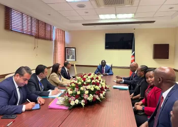 Le ministre des Affaires étrangères s’entretient avec le Président kenyan