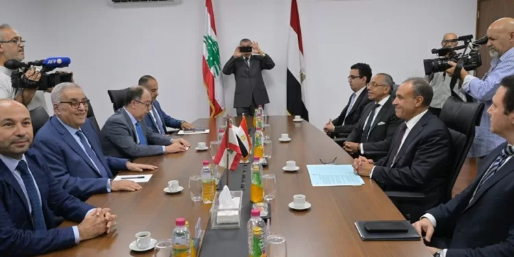 Abdel Aati discute de la conjoncture régionale avec son homologue libanais 1 - Le Progrès Egyptien