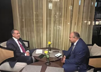 Le chef de la diplomatie égyptienne s’entretient avec son homologue tanzanien
