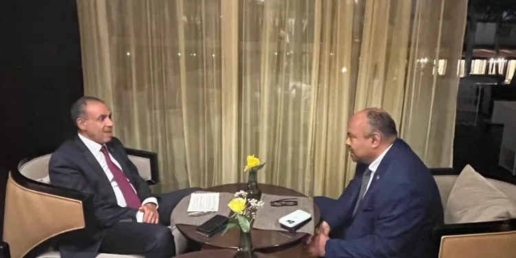 Le chef de la diplomatie égyptienne s’entretient avec son homologue tanzanien 1 - Le Progrès Egyptien