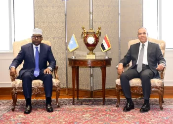 Abdel Aati s’entretient avec son homologue somalien
