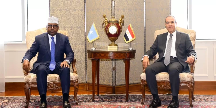 Abdel Aati s’entretient avec son homologue somalien 2 - Le Progrès Egyptien Abdel Aati s’entretient avec son homologue somalien 1 - Le Progrès Egyptien