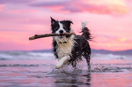 Plus que des photos de vacances ! 9 - Le Progrès Egyptien