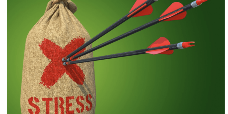 Comment vaincre le stress ? 1 - Le Progrès Egyptien
