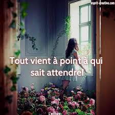 Un proverbe, une histoire