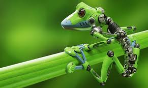 Le biomimétisme : Quand la nature inspire les inventions humaines