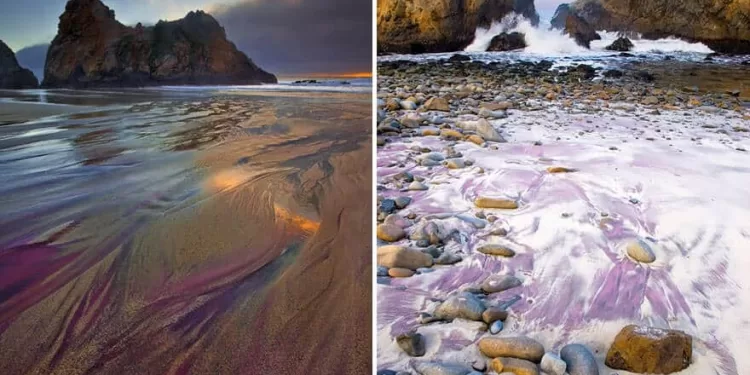 Des plages insolites qui captent le regard (2) 1 - Le Progrès Egyptien