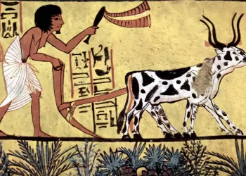 L’agriculture dans l’Egypte antique, une vraie passion