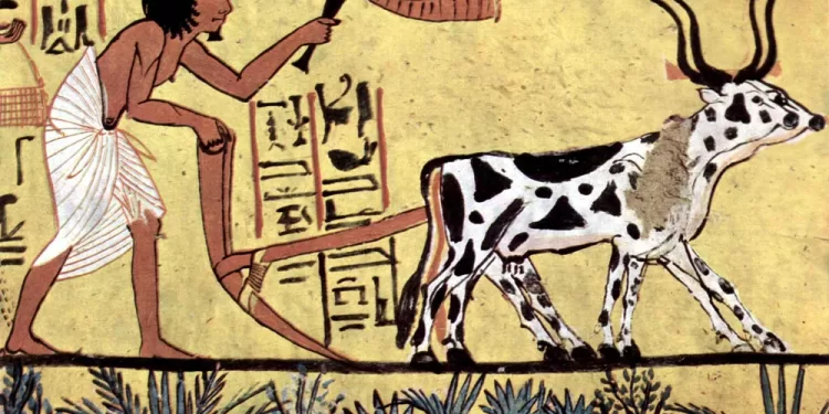 L’agriculture dans l’Egypte antique, une vraie passion 1 - Le Progrès Egyptien