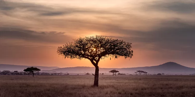 Environnement : Réaliser les intérêts africains 2 - Le Progrès Egyptien Environnement : Réaliser les intérêts africains 1 - Le Progrès Egyptien