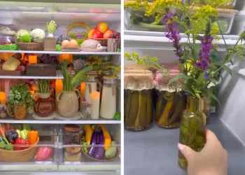 «Fridgescaping», tendance qui devient virale sur tiktok