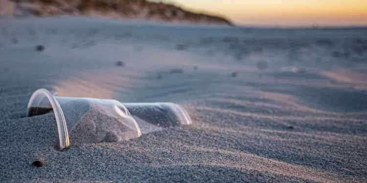 Nouveau plastique anti-pollution 1 - Le Progrès Egyptien