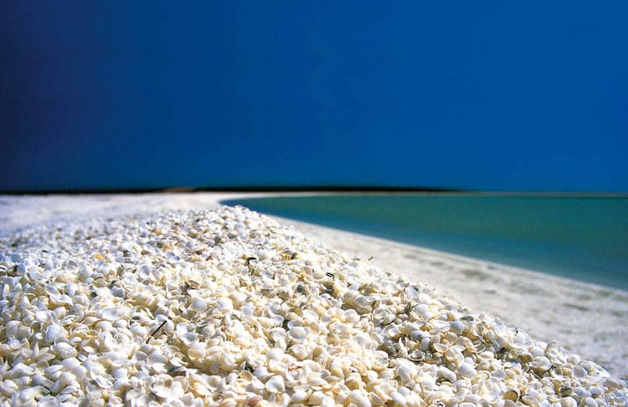 Des plages insolites qui captent le regard 16 - Le Progrès Egyptien Des plages insolites qui captent le regard 15 - Le Progrès Egyptien