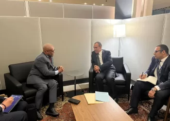 Le ministre des AE s’entretient avec le SG de D-8 à New York