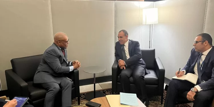 Le ministre des AE s'entretient avec le SG de D-8 à New York 1 - Le Progrès Egyptien