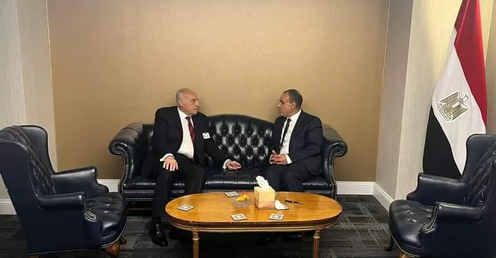 Le ministre des AE s’entretient avec son homologue algérien 1 - Le Progrès Egyptien