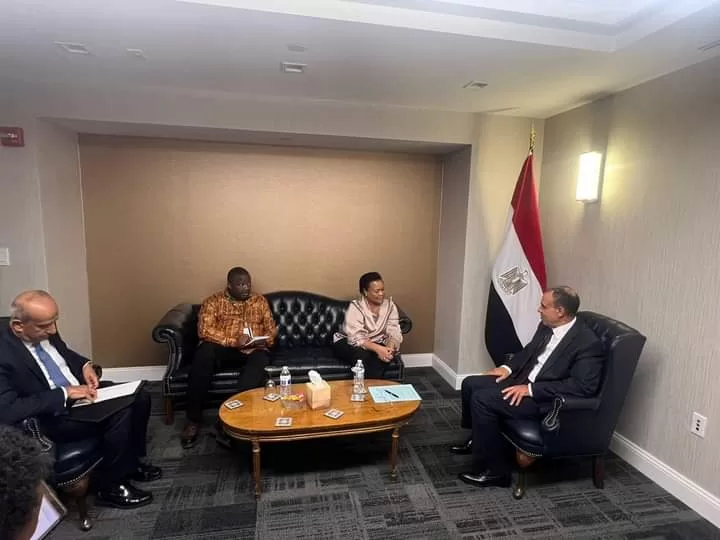 Agenda surchargé du ministre des AE en marge de l'Assemblée générale de l'ONU 7 - Le Progrès Egyptien