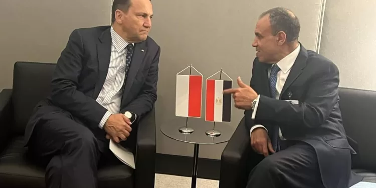 Rencontre entre le ministre des Affaires étrangères et son homologue polonais  1 - Le Progrès Egyptien