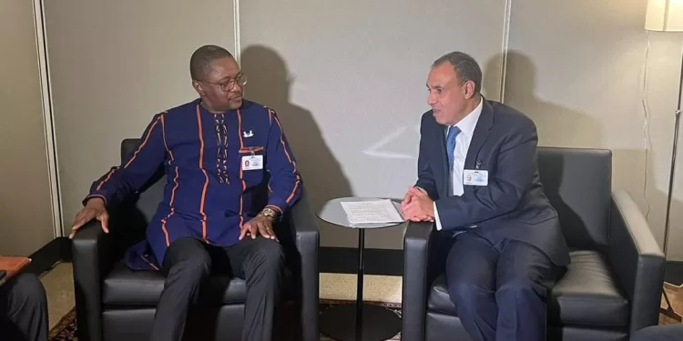 Abdel-Aati rencontre son homologue burkinabé 1 - Le Progrès Egyptien