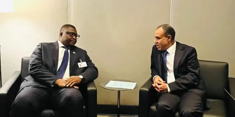 Le ministre des Affaires Étrangères rencontre son homologue sierra-léonais 2 - Le Progrès Egyptien Le ministre des Affaires Étrangères rencontre son homologue sierra-léonais 1 - Le Progrès Egyptien