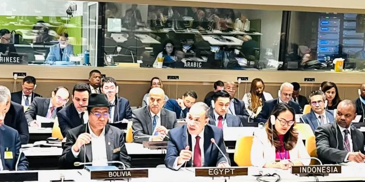 Le ministre des Affaires étrangères participe à la réunion ministérielle sur l'initiative sino-brésilienne pour le règlement de la crise ukrainienne 1 - Le Progrès Egyptien