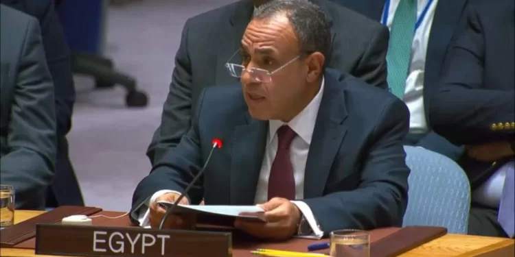 L'Egypte plaide pour une action urgente en faveur de la Palestine 1 - Le Progrès Egyptien