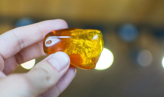 Rentrée scolaire: Végétaliser l'intérieur et porter des pierres précieuses ! 12 - Le Progrès Egyptien Rentrée scolaire: Végétaliser l'intérieur et porter des pierres précieuses ! 11 - Le Progrès Egyptien