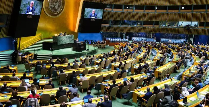 L’occupation israélienne en débat à l’Assemblée générale de l’ONU 1 - Le Progrès Egyptien