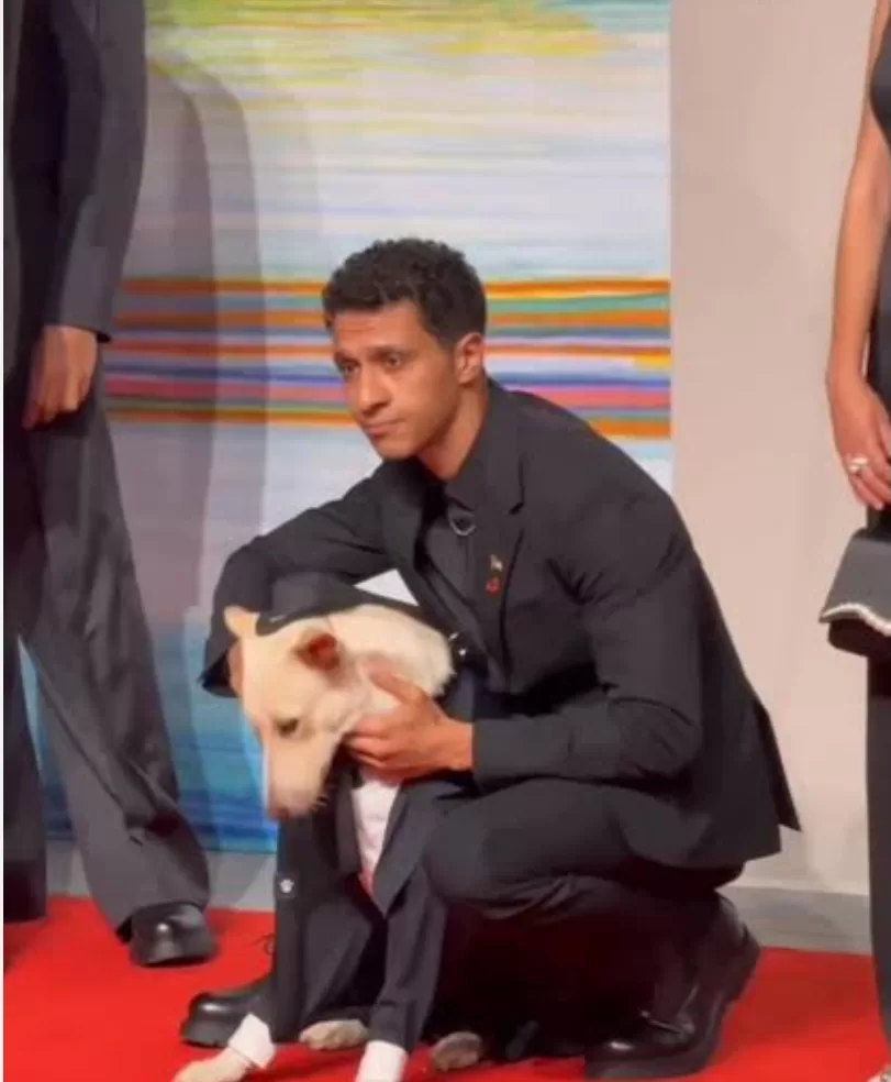 Festival de Venise : Le film égyptien « A la recherche d'une issue pour Mr Rambo» 6 - Le Progrès Egyptien Festival de Venise : Le film égyptien « A la recherche d'une issue pour Mr Rambo» 5 - Le Progrès Egyptien