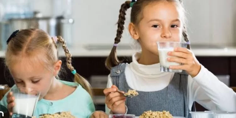 Des aliments à privilégier pour les enfants de 4 à 11 ans 2 - Le Progrès Egyptien Des aliments à privilégier pour les enfants de 4 à 11 ans 1 - Le Progrès Egyptien
