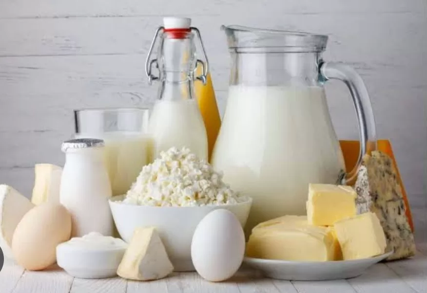 Des aliments à privilégier pour les enfants de 4 à 11 ans 8 - Le Progrès Egyptien Des aliments à privilégier pour les enfants de 4 à 11 ans 7 - Le Progrès Egyptien