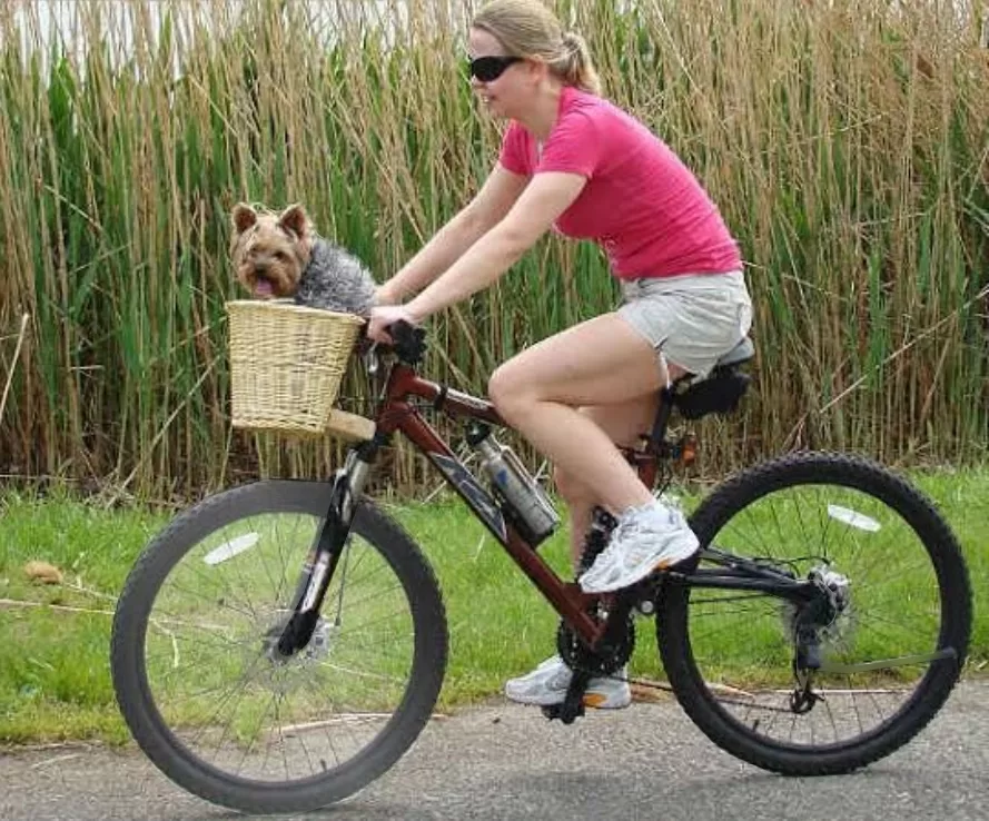 Quatre sports à pratiquer pour rester en bonne santé 8 - Le Progrès Egyptien Quatre sports à pratiquer pour rester en bonne santé 7 - Le Progrès Egyptien